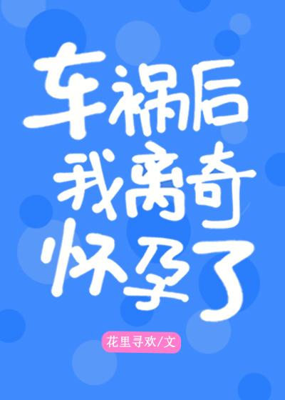 北城枭雄txt